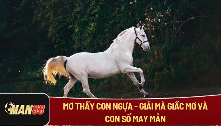 MAN88 Mơ Thấy Con Ngựa - Giải Mã Giấc Mơ Và Con Số May Mắn